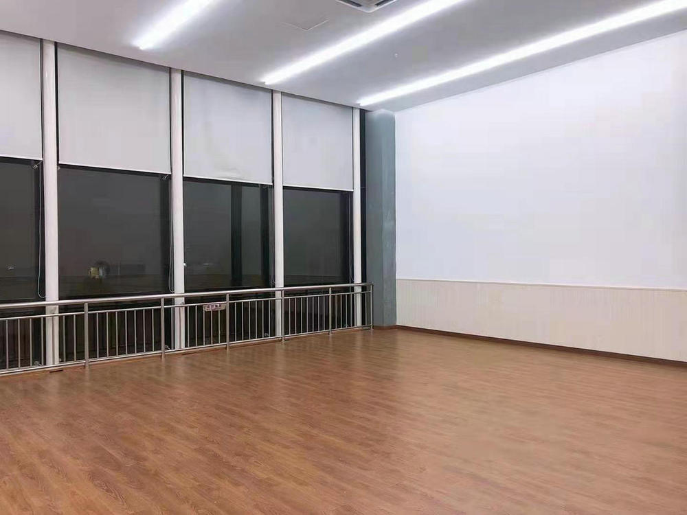 浦东巨峰路舞蹈房