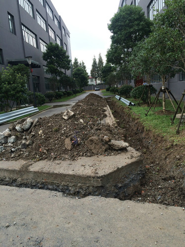 浦东唐陆公路某为